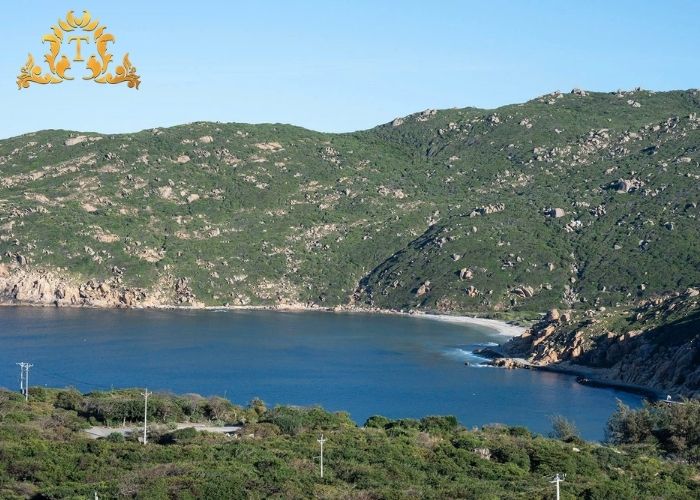 Thuê xe limousine tối ưu ngân sách cho nhóm đông người giá rẻ