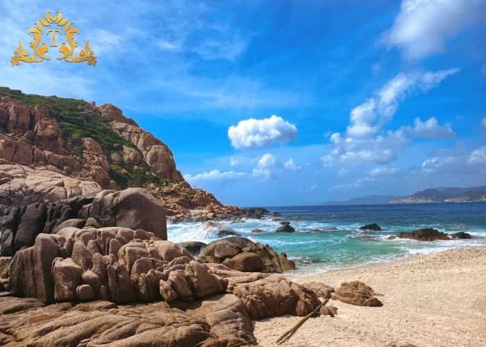 Lý do trải nghiệm thuê xe limousine tại Thanh Thảo luôn đạt điểm 10