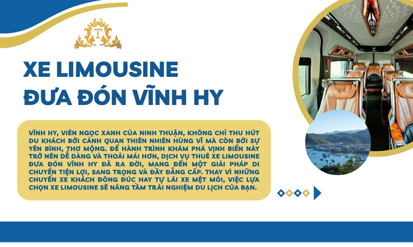 Xe Limousine đưa đón Vĩnh Hy