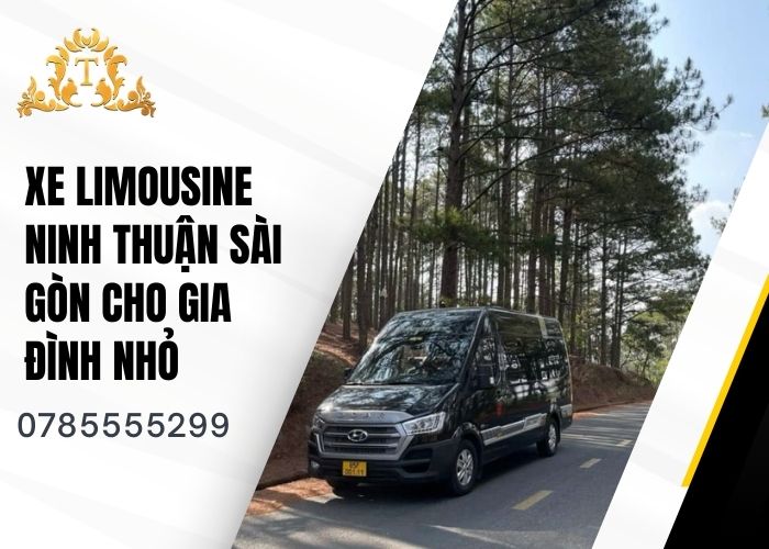 Xe limousine Ninh Thuận Sài Gòn cho gia đình nhỏ