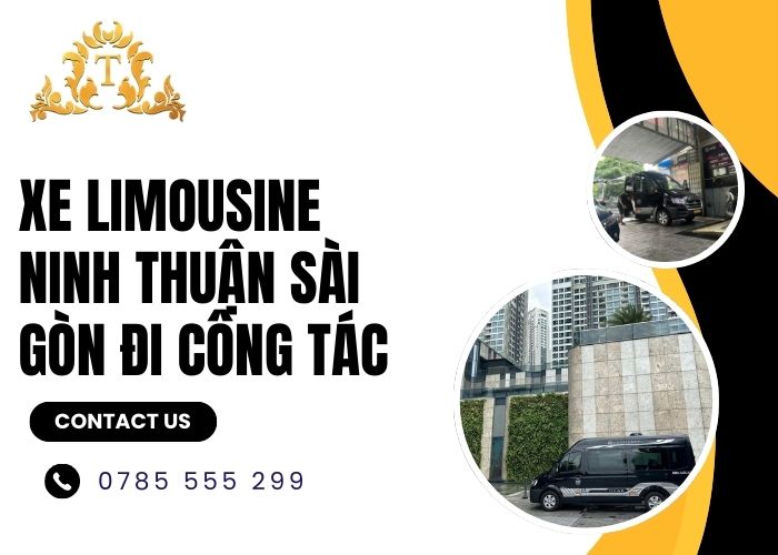 Xe limousine Ninh Thuận Sài Gòn đi công tác